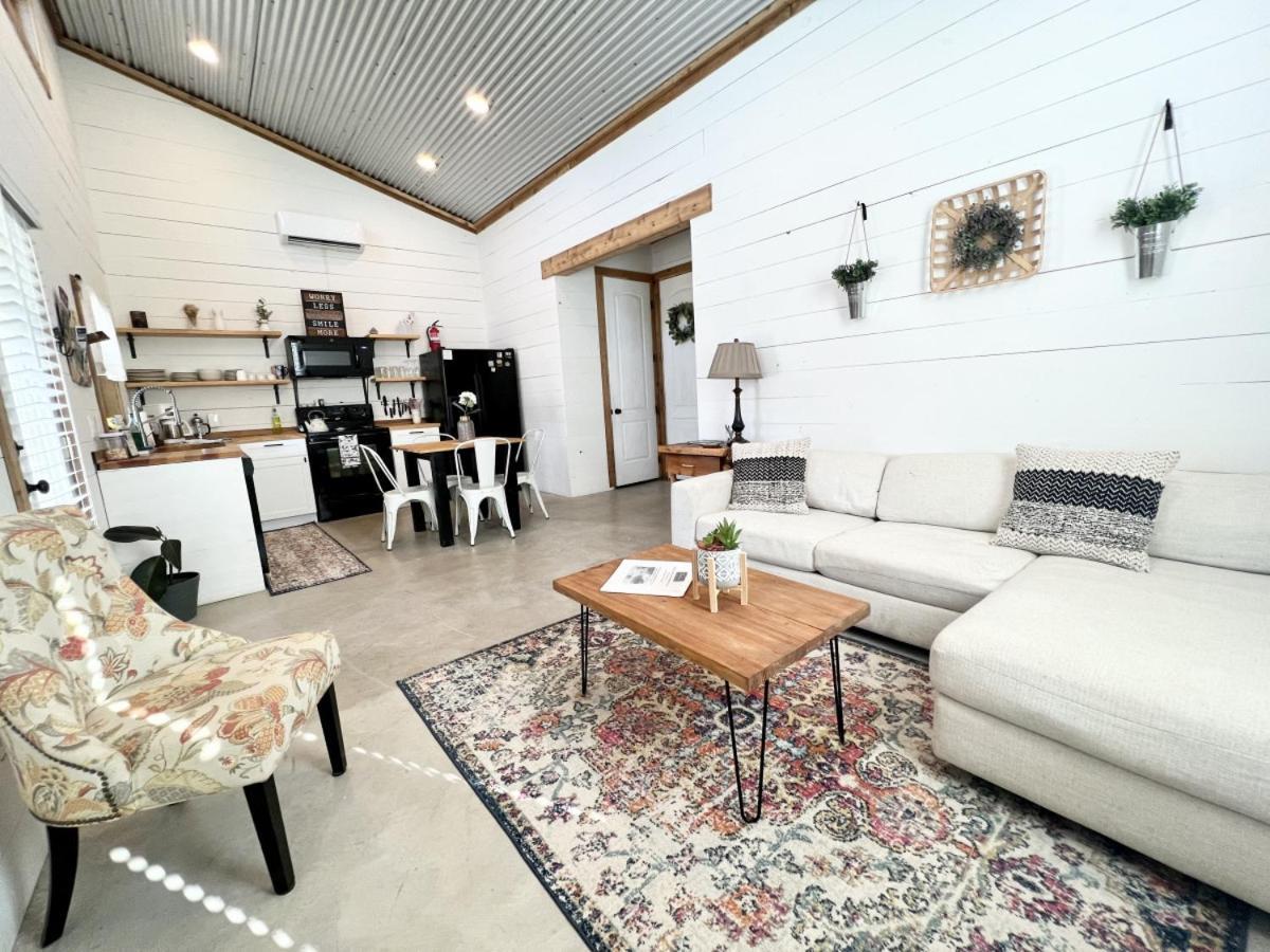 Spring Branch Hummingbird Haus - Hill Country Views On 20 Acres With Firepitヴィラ エクステリア 写真