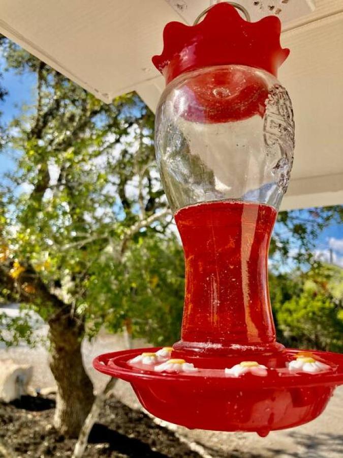 Spring Branch Hummingbird Haus - Hill Country Views On 20 Acres With Firepitヴィラ エクステリア 写真
